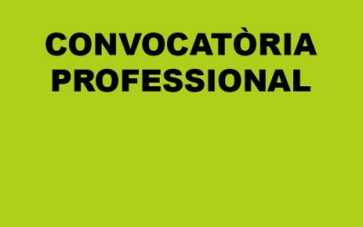 Convocatòria professional