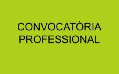 Convocatòria professional