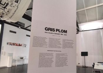 Gris plom