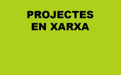 Projectes en xarxa