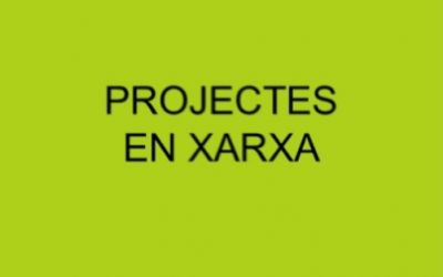 Projectes en xarxa