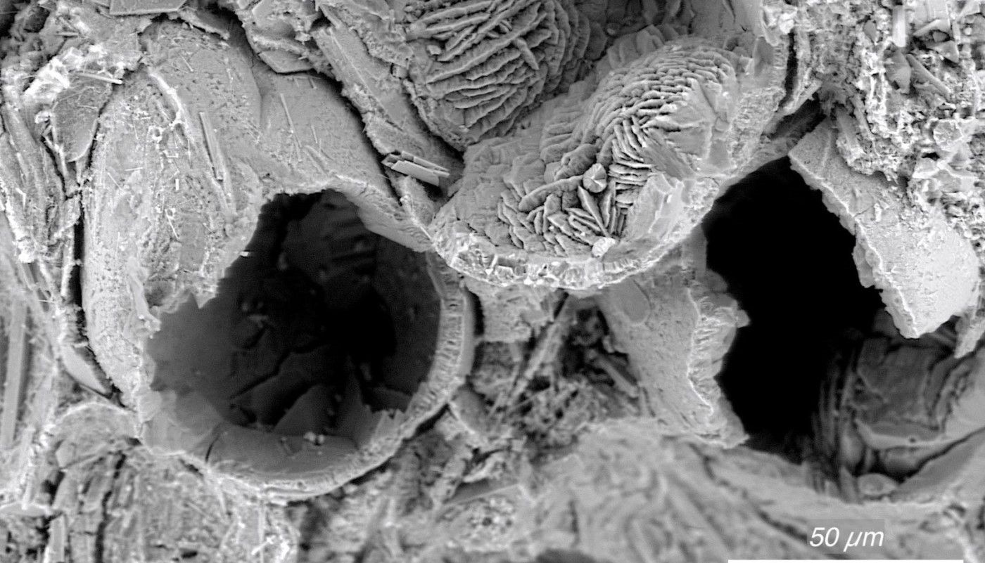 Yo quiero mirar por el cráter